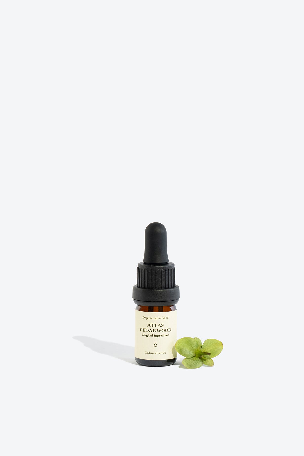 ATLAS CEDARWOOD essential oil, 5ml glass bottle with pipette