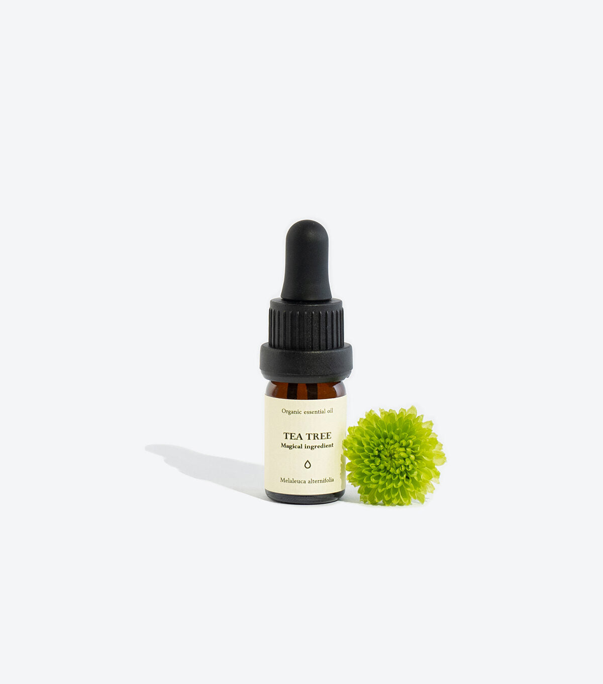 TEA TREE essential oil bottle, front view with label